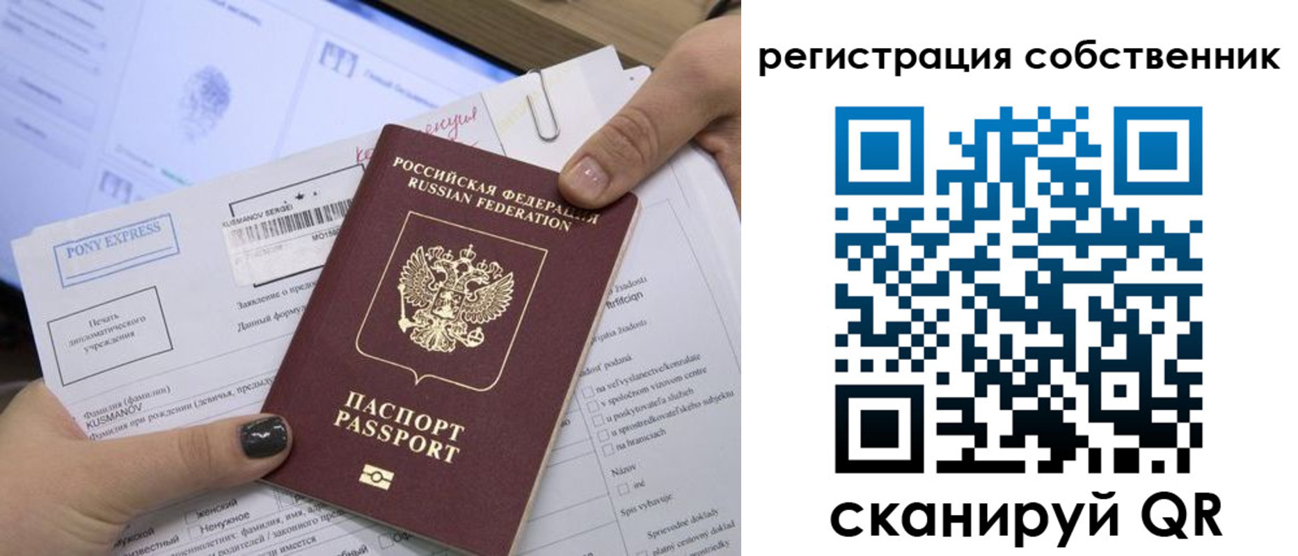 прописка поиск в Жукове